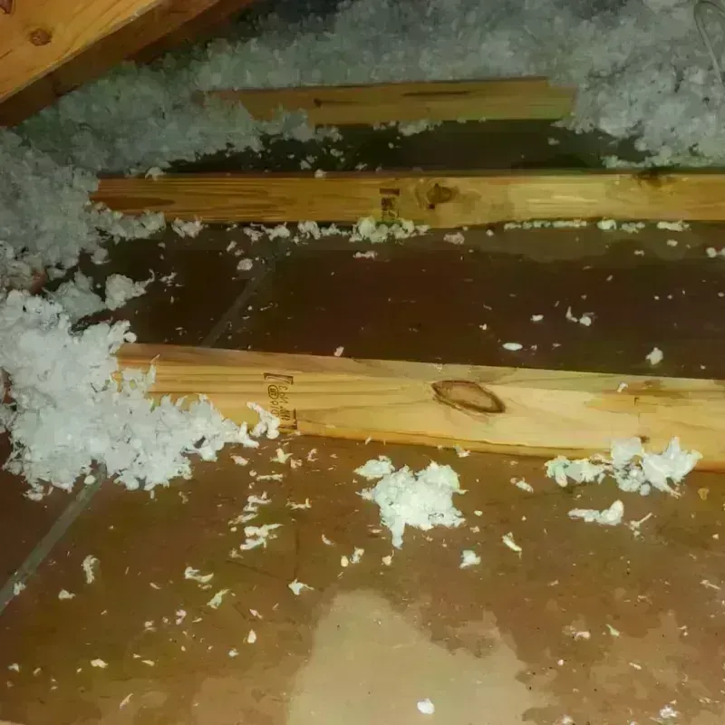 Attic Water Damage in Holmes County, OH