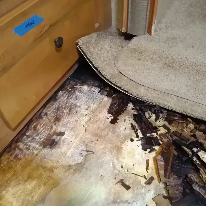 Wood Floor Water Damage in Holmes County, OH